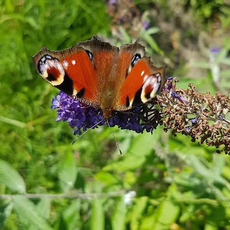 Accommodatie bij particulieren Przystan Kapitanat