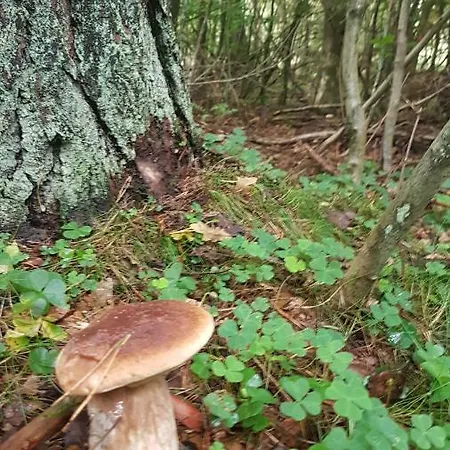 Accommodatie bij particulieren Przystan Kapitanat