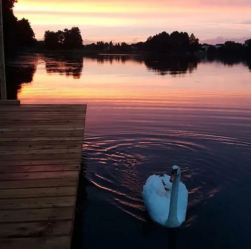 Przystan Kapitanat * 슈체시네크